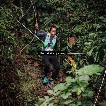Runner Photo 8394073