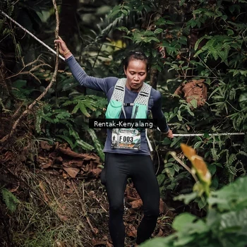 Runner Photo 8394076