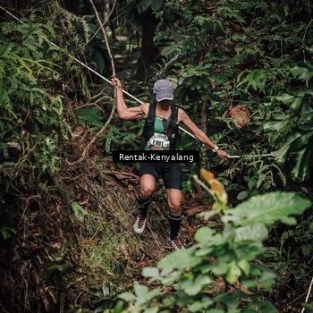 Runner Photo 8394081