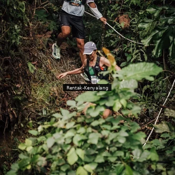 Runner Photo 8394082