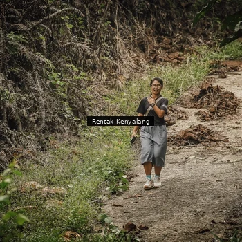 Runner Photo 8394084