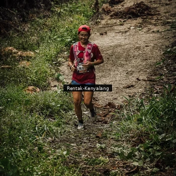 Runner Photo 8394089