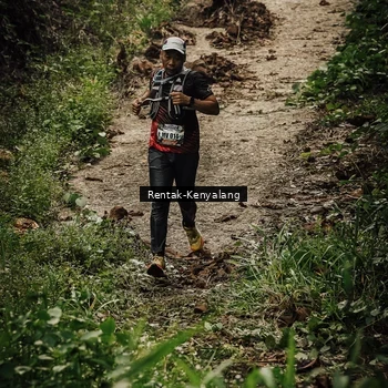 Runner Photo 8394095