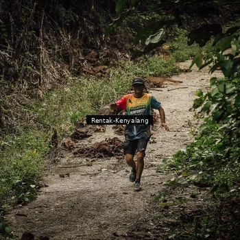 Runner Photo 8394100