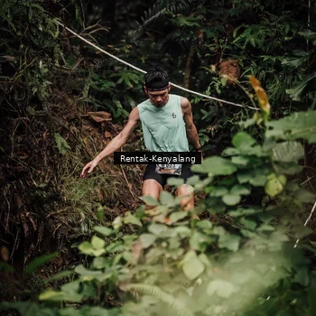 Runner Photo 8394101