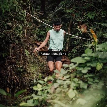 Runner Photo 8394102