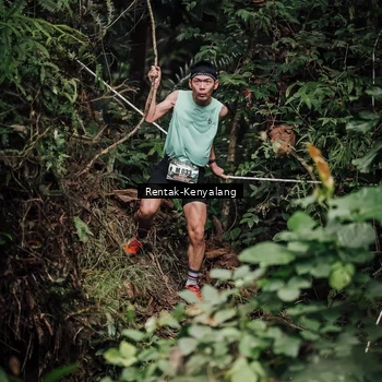 Runner Photo 8394104