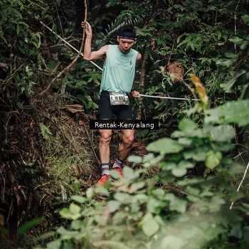 Runner Photo 8394105