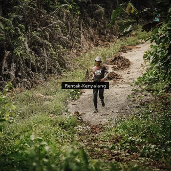 Runner Photo 8394108
