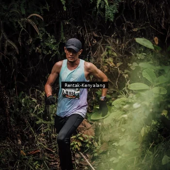 Runner Photo 8394114
