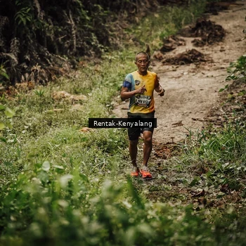 Runner Photo 8394120
