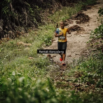 Runner Photo 8394121