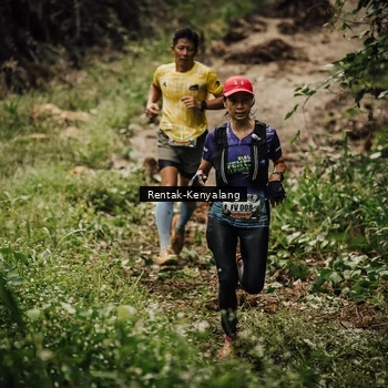 Runner Photo 8394124