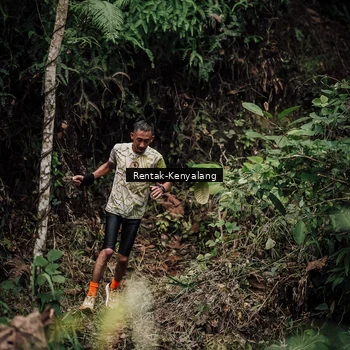 Runner Photo 8394125