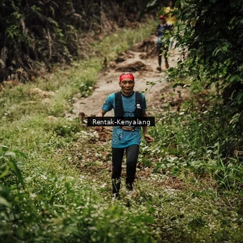 Runner Photo 8394126