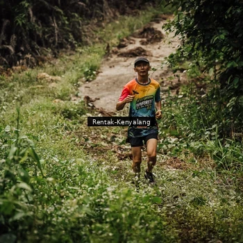 Runner Photo 8394129