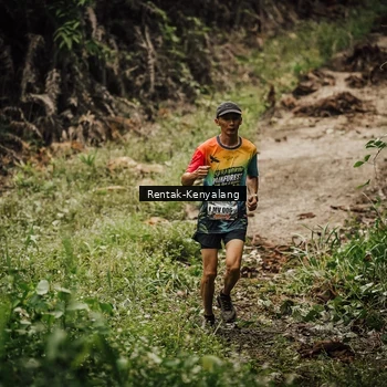 Runner Photo 8394130