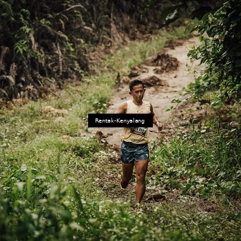Runner Photo 8394137