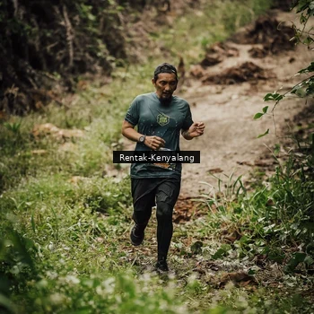 Runner Photo 8394143