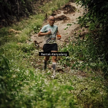 Runner Photo 8394149