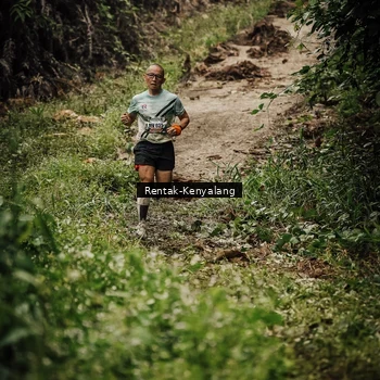 Runner Photo 8394150