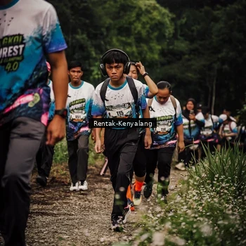 Runner Photo 8394224