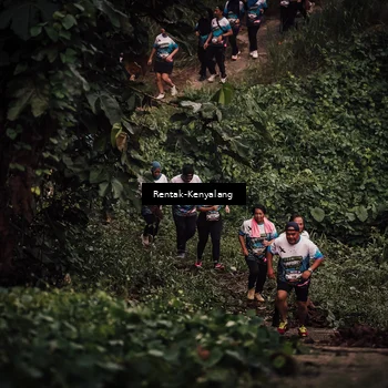 Runner Photo 8394276