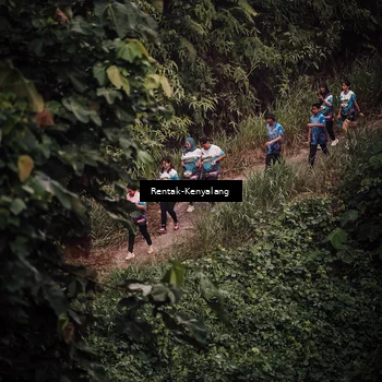 Runner Photo 8394278