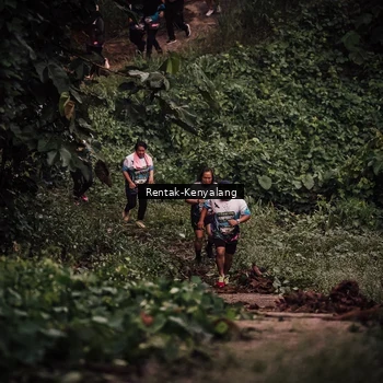 Runner Photo 8394280