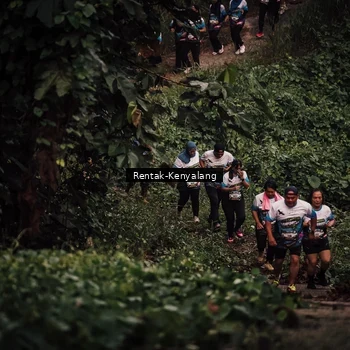 Runner Photo 8394281