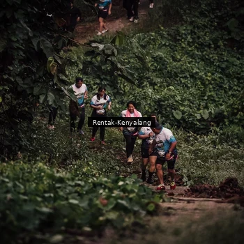 Runner Photo 8394283