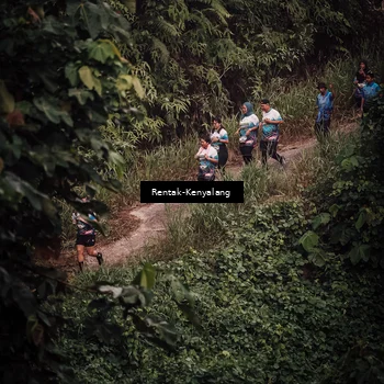 Runner Photo 8394284