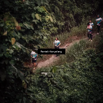Runner Photo 8394285