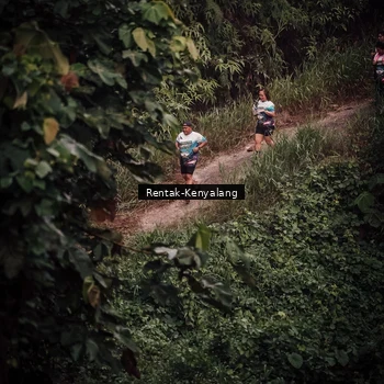 Runner Photo 8394289