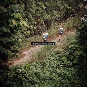 Runner Photo 8394290