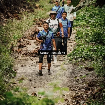 Runner Photo 8394333