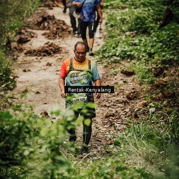 Runner Photo 8394338