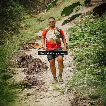 Runner Photo 8394348