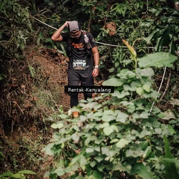 Runner Photo 8394366