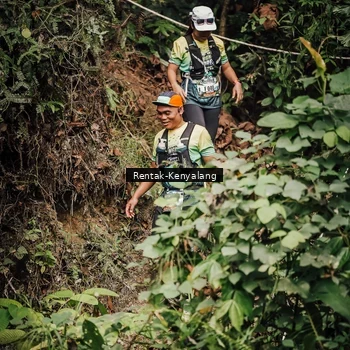 Runner Photo 8394380