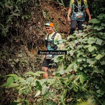 Runner Photo 8394381