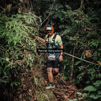 Runner Photo 8394382