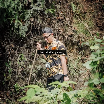 Runner Photo 8394384