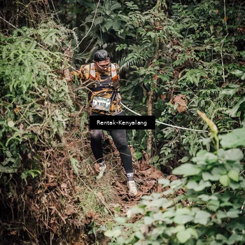 Runner Photo 8394392