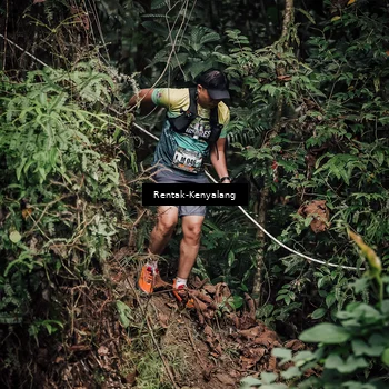 Runner Photo 8394451
