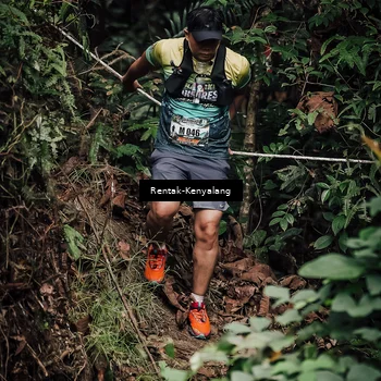 Runner Photo 8394453