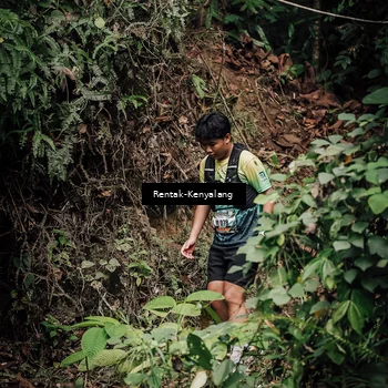 Runner Photo 8394470