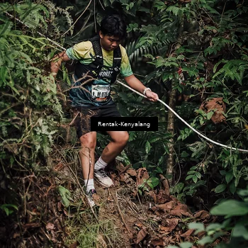 Runner Photo 8394472