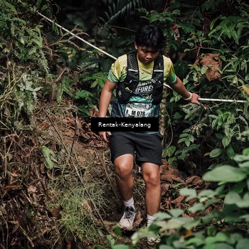 Runner Photo 8394475