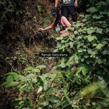 Runner Photo 8394503